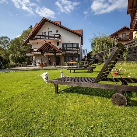 Vila Vibrant Bran  Exteriör bild