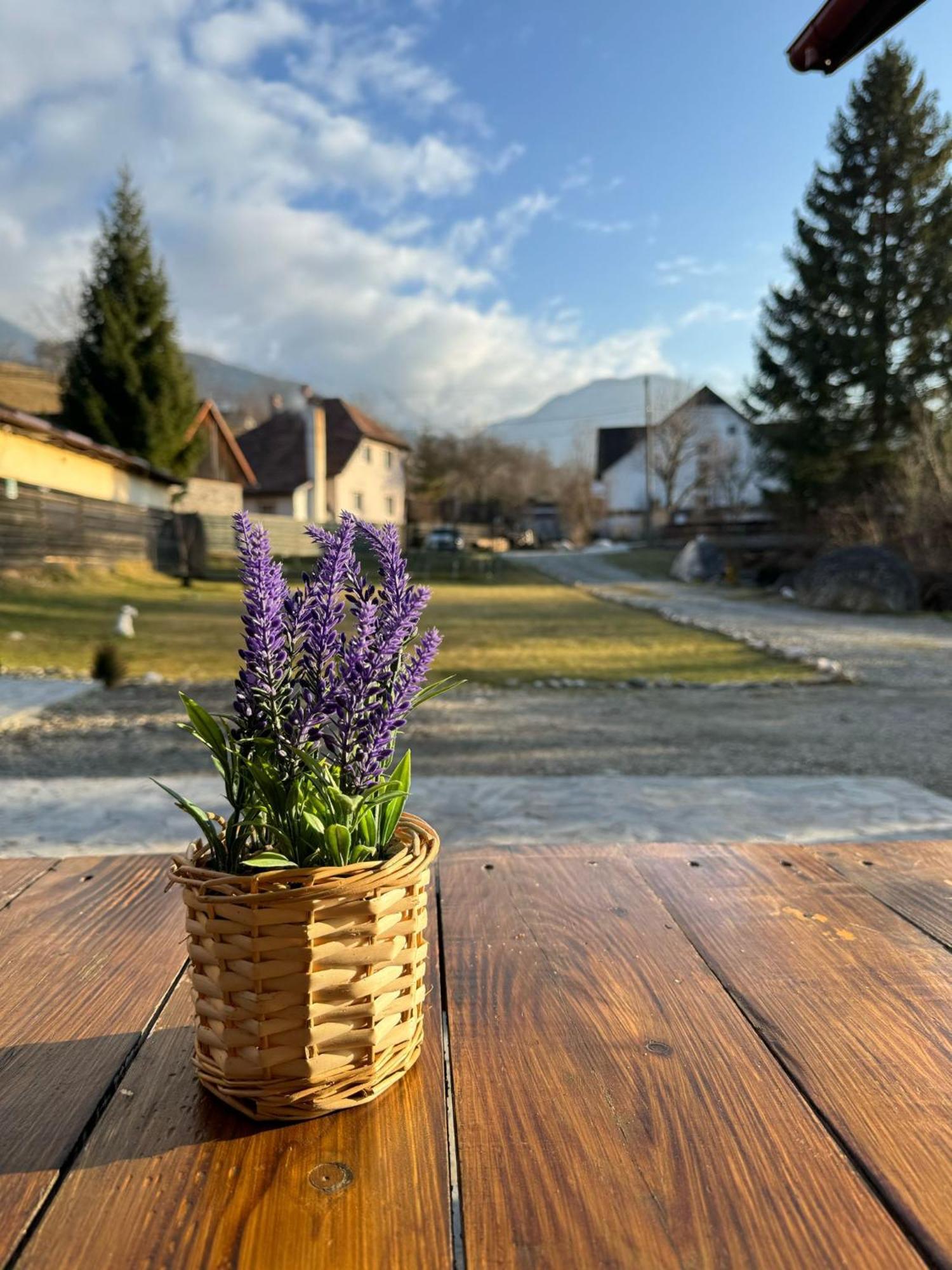 Vila Vibrant Bran  Exteriör bild